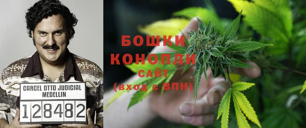 спиды Ладушкин
