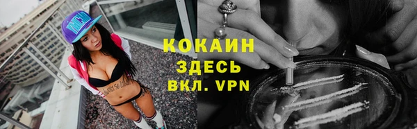 спиды Ладушкин