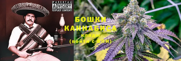 спиды Ладушкин