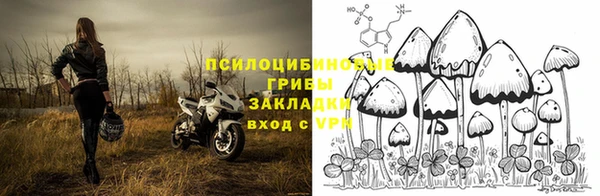 бутират Лагань