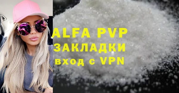 спиды Ладушкин