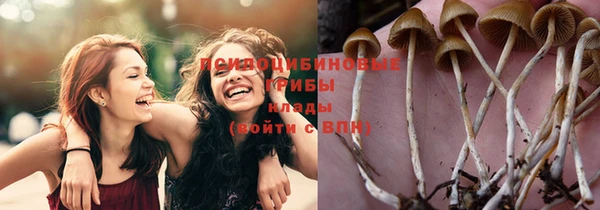 СК Куйбышев