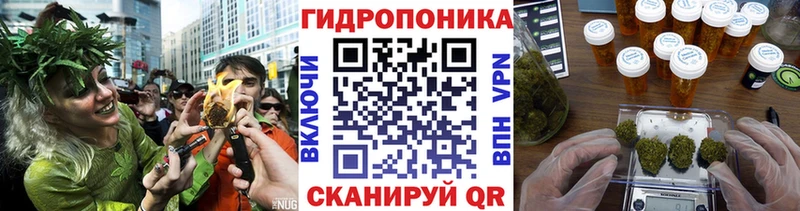Бошки Шишки индика Лобня